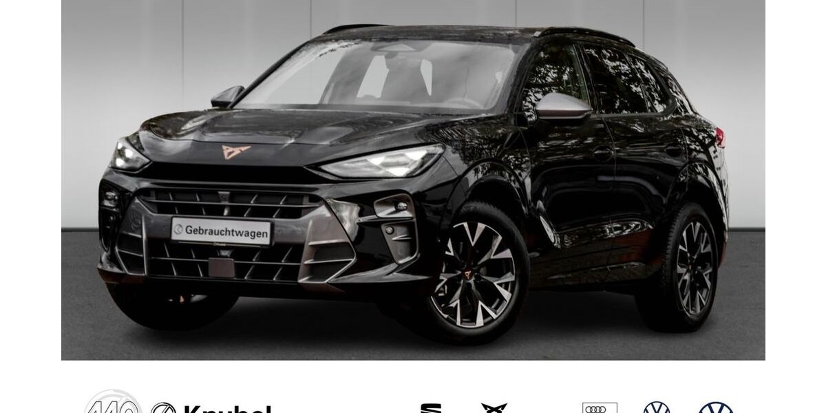 Cupra Terramar 20.728 km 32.980 &euro; Münster 48163