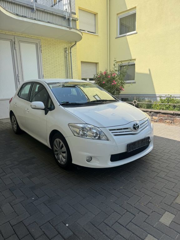 Auris