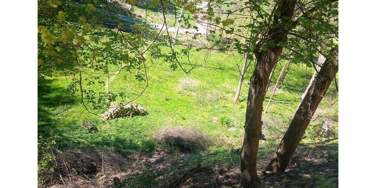 Grundstück Arnsdorf - 890&euro; | Angebot:26375544