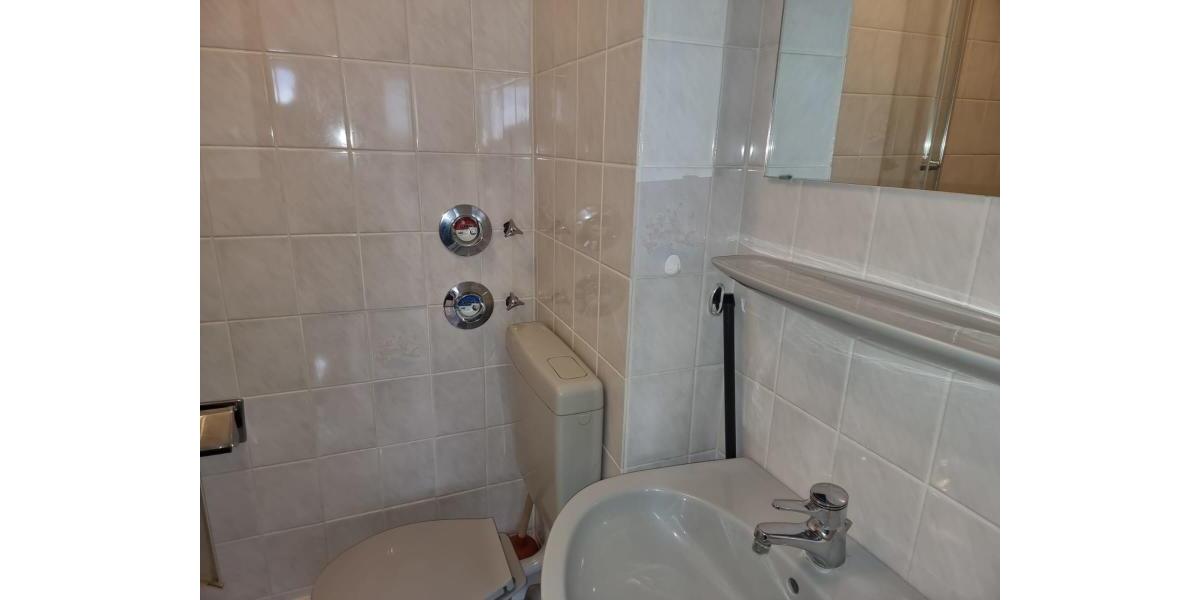 ObjNr:18569 - Ein-Zimmeraprtment - Dachgeschoßwohnung Mannheim Rheinau | Angebot:15064592