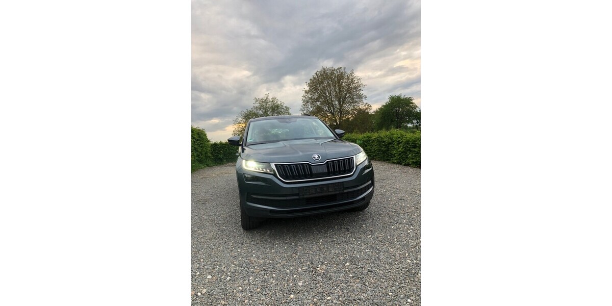Skoda Kodiaq 41.000 km 34.599 &euro; Offenburg 77652