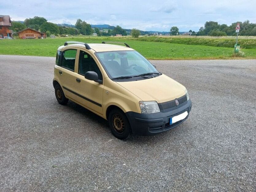Panda