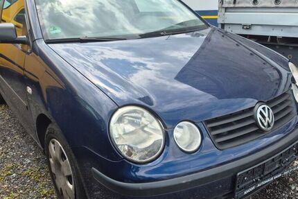 VW Polo