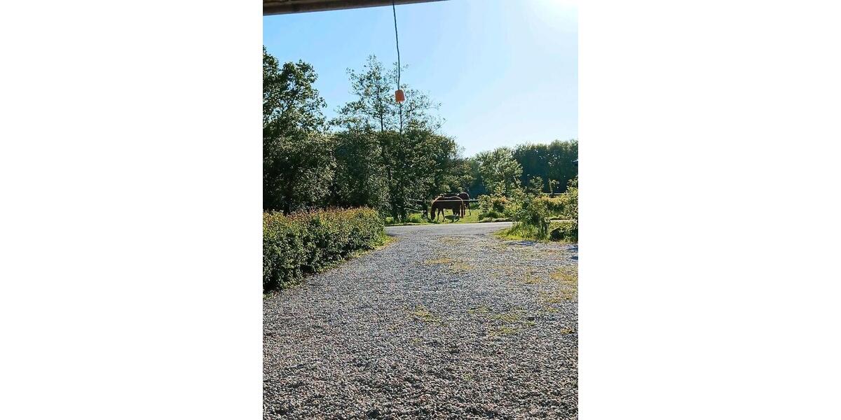 Bauernhaus, Landhaus Klanxbüll - 5 Zimmer, 140 m&sup2;, 355.000&euro; | Angebot:26807182