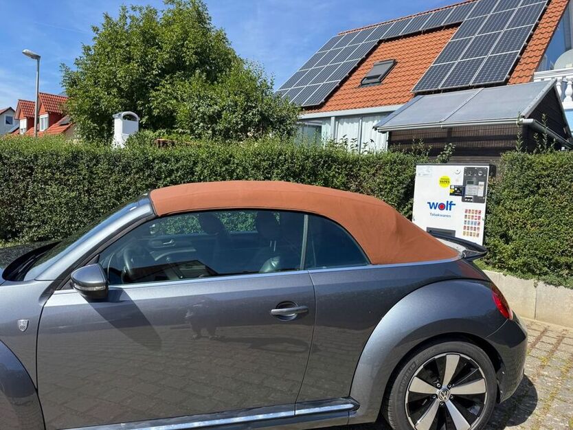 New Beetle