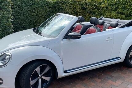 VW Beetle