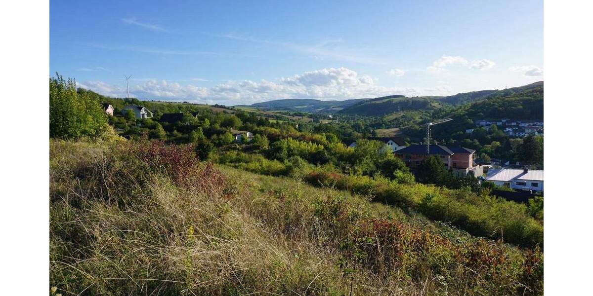 Grundstück Alsenz - 97.000&euro; | Angebot:25687011