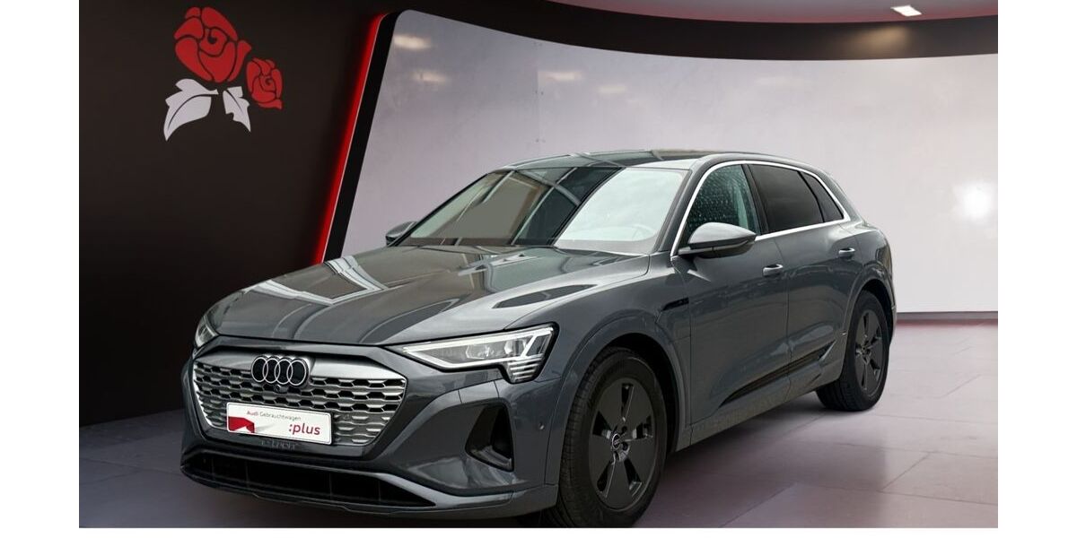 Audi Q8 e-tron 47.013 km 51.500 &euro; Villingen-Schwenningen 78052