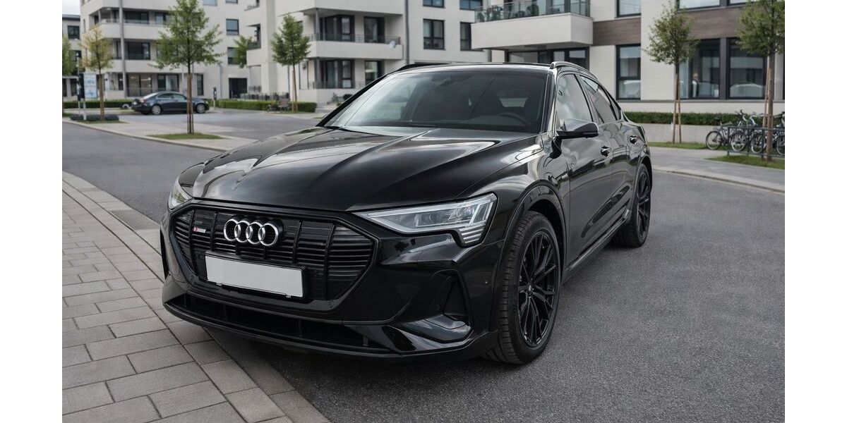 Audi e-tron 75.600 km 38.990 &euro; Wiesbaden 65187