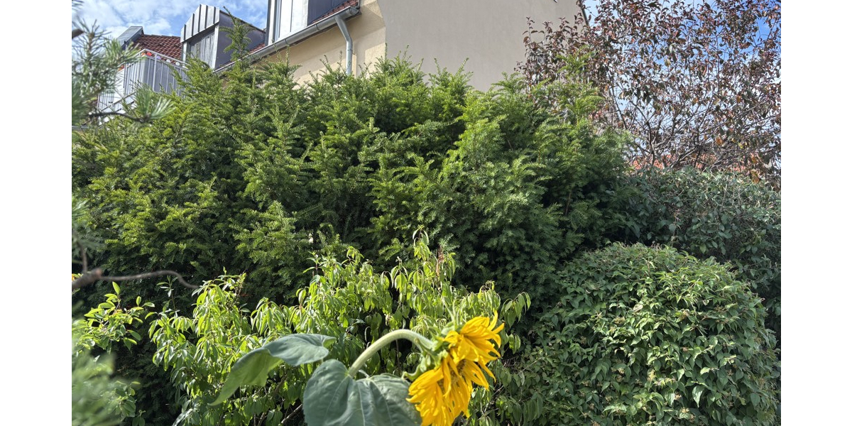 Gemütliche 3-Zimmer-Eigentumswohnung für Ihre Familie oder als Kapitalanlage 3 zimmer