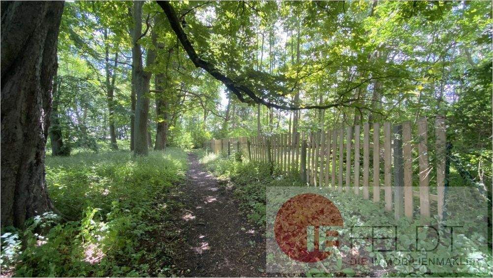 Bauernhaus, Landhaus Goldberg - 6 Zimmer, 150 m&sup2;, 119.000&euro; | Angebot:25821875