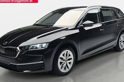 Skoda Octavia 8.340 km 30.990 &euro; Rostock 18069