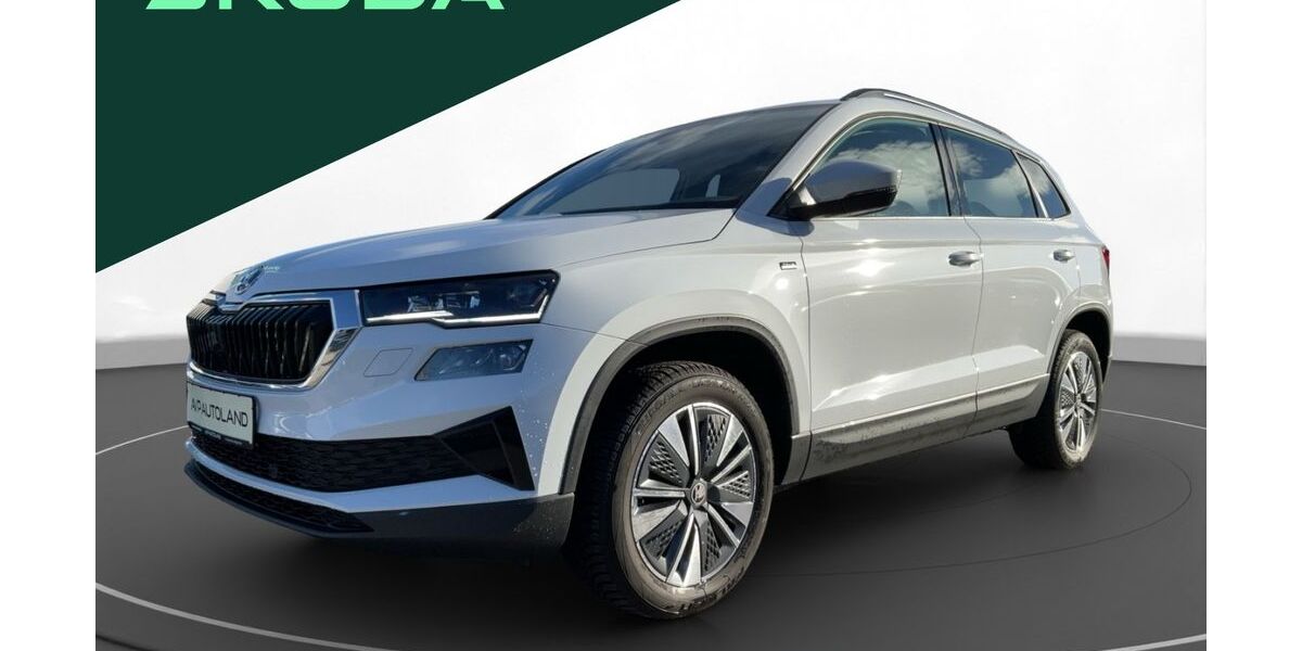 Skoda Karoq 19.771 km 31.450 &euro; Regen 94209