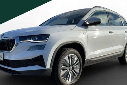 Skoda Karoq 19.771 km 31.750 &euro; Regen 94209