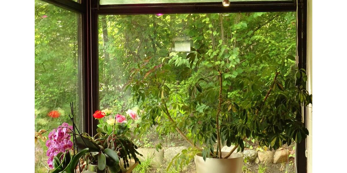 Einfamilienhaus Gifhorn - 6 Zimmer, 145 m&sup2;, 295.000&euro; | Angebot:26888261