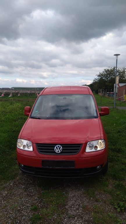 VW Caddy Maxi 81.000 km 19.500 € Brüggen 41379