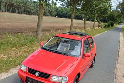 VW Polo