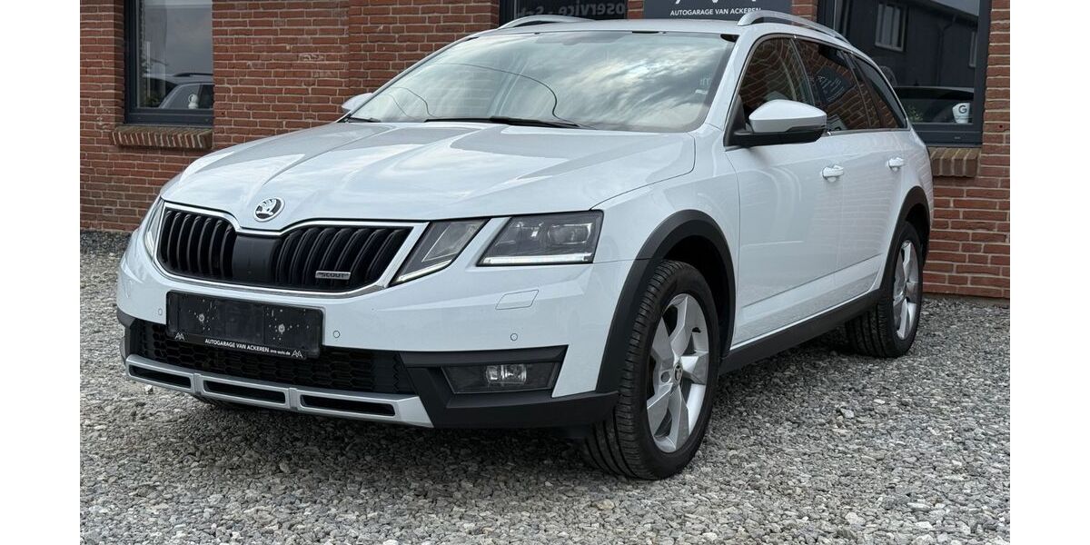 Skoda Octavia 99.500 km 22.480 &euro; Handewitt 24976