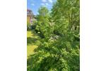 Etagenwohnung Kirchheim bei München - 2 Zimmer, 47 m&sup2;, 430.000&euro; | Angebot:27108409