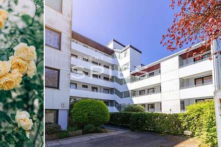 Wohnung Bremen Horn-Lehe - 4 Zimmer, 142 m&sup2;, 355.000&euro; | Angebot:26834304