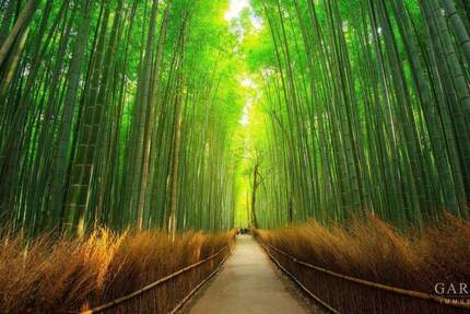 Grundstück Karlsruhe Mühlburg - 930.000&euro; | Angebot:25707691