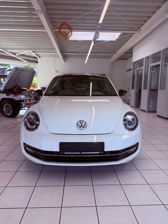 Beetle