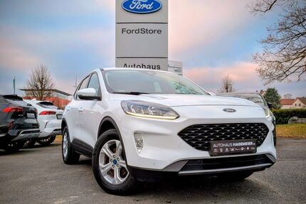 Ford Kuga 38.000 km 21.950 &euro; Halle Westfalen 33790