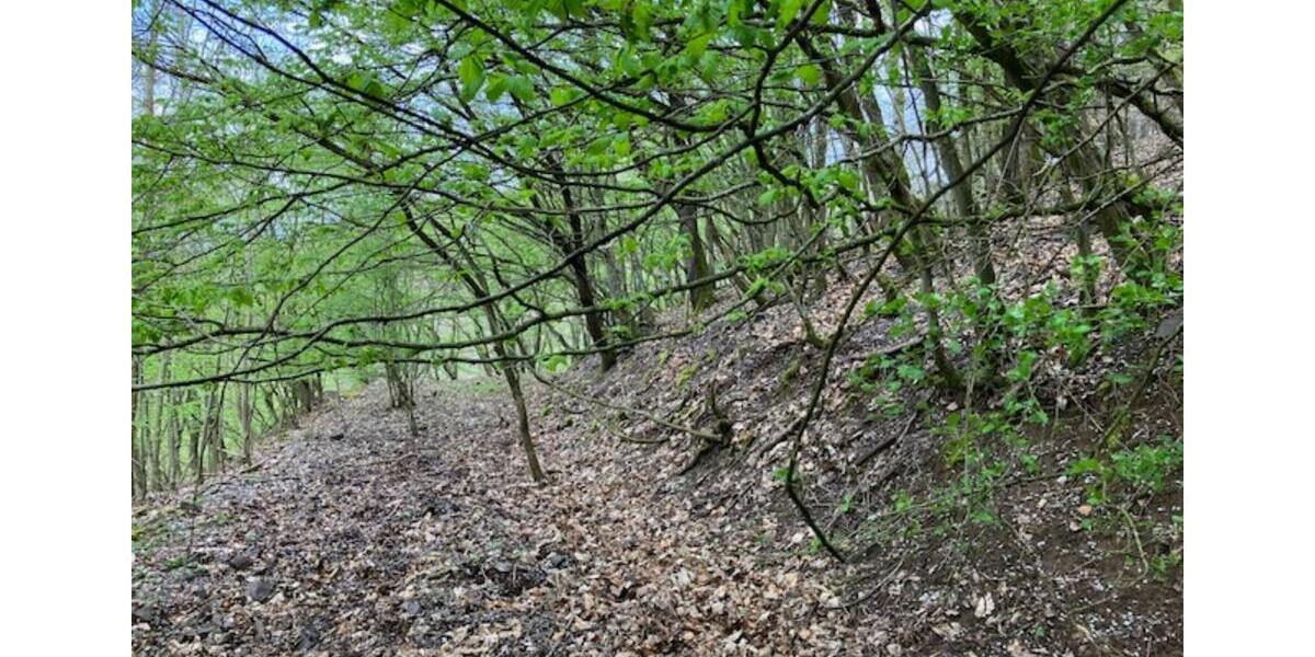 Grundstück Bruttig-Fankel Fankel - 5.950&euro; | Angebot:17639442