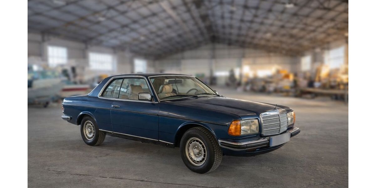Mercedes-Benz 230 177.500 km 7.890 &euro; Mirow 17252