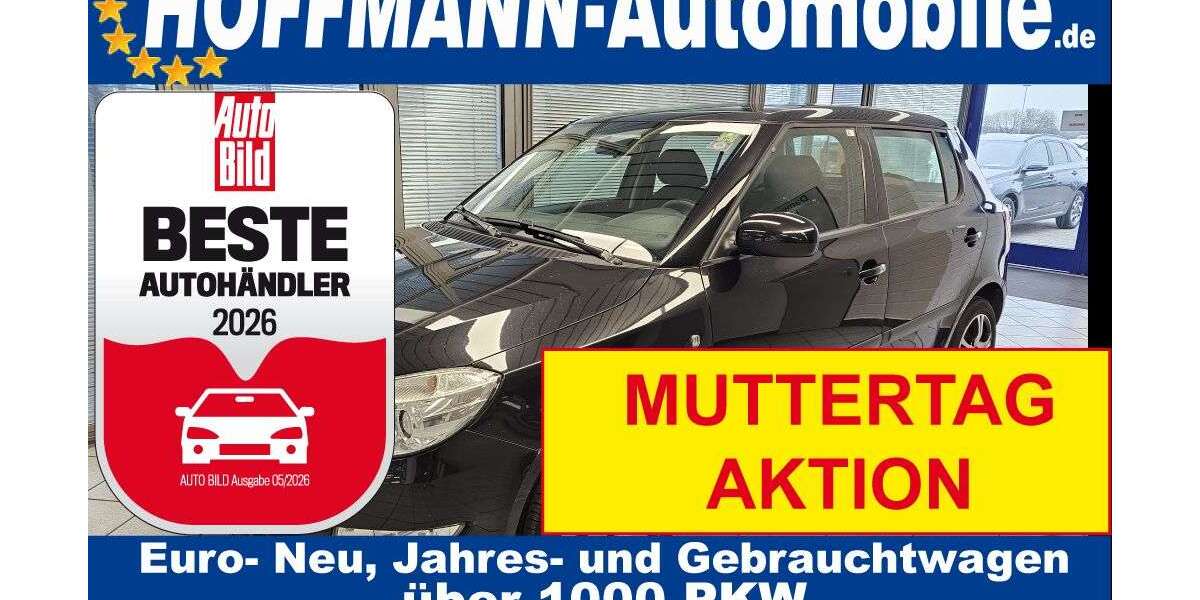 Skoda Fabia 391.791 km 1.300 &euro; Wolfsburg Heiligendorf 38444