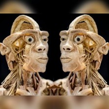 Ausstellung ECHTE KÖRPER 07.03.2026 Kurhaus-Saal