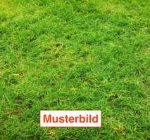 Grundstück zu verkaufen in Bielefeld 310.000 € 754 m²