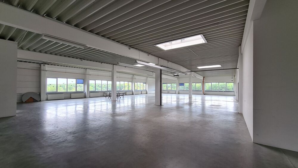Provisionsfreie Gewerbefläche nahe Hamburg: helle Lager-, Produktions- & Bürohalle 450–1.100 m² - Gewerbeobjekt Schwarzenbek Rülau | Angebot:26625296