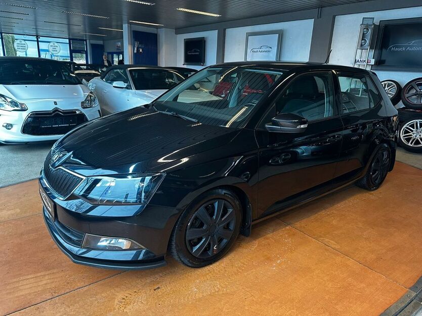 Skoda Fabia 169.344 km 6.790 € Bad Dürkheim 67098