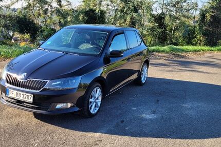 Skoda Fabia 149.225 km 9.800 € Friesenheim 77948