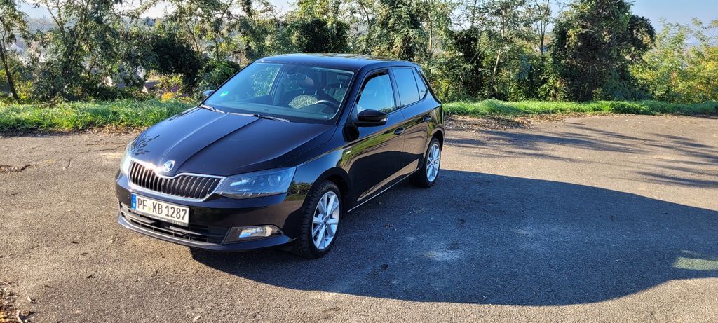 Skoda Fabia 149.225 km 9.800 € Friesenheim 77948