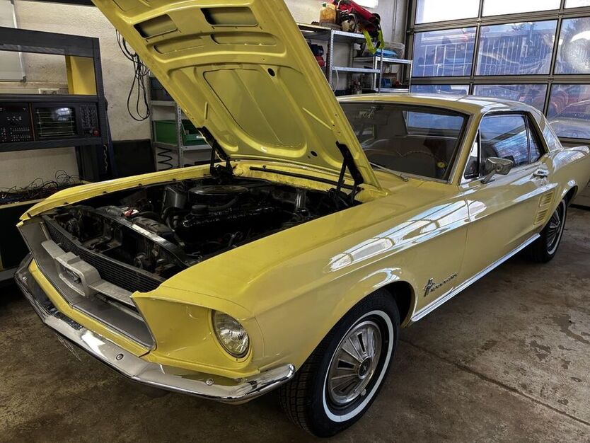 Mustang