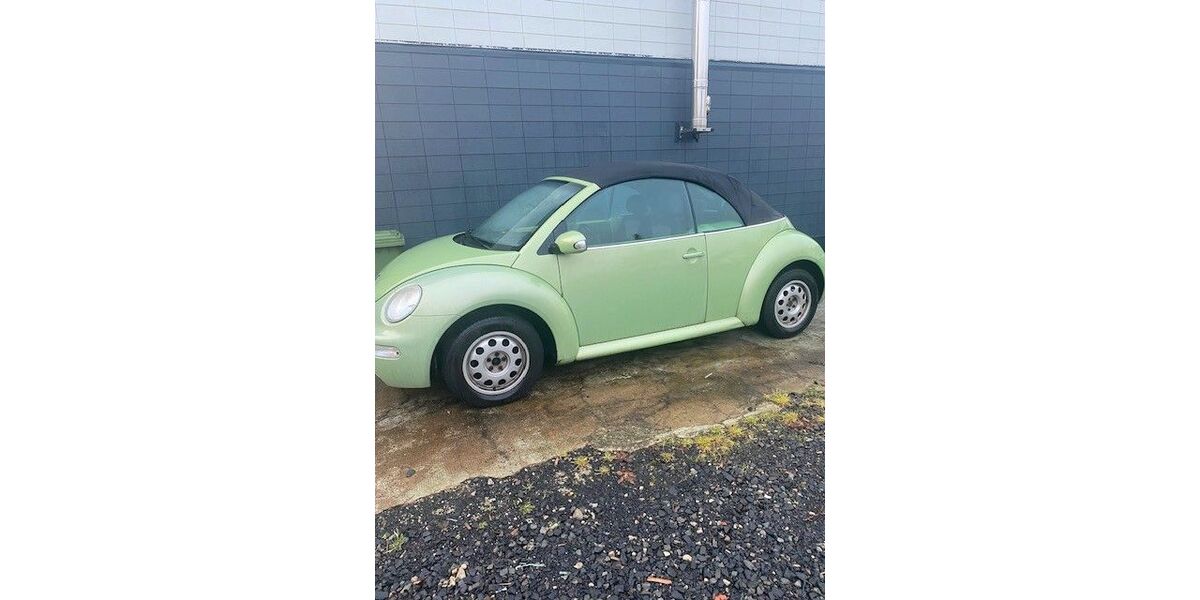 VW Beetle 228.258 km 1.900 &euro; Dreisbach 56472