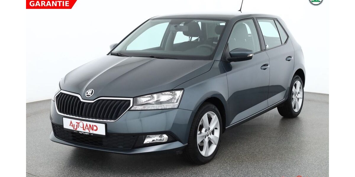 Skoda Fabia 29.560 km 13.990 &euro; Naumburg OT Schönburg 06618