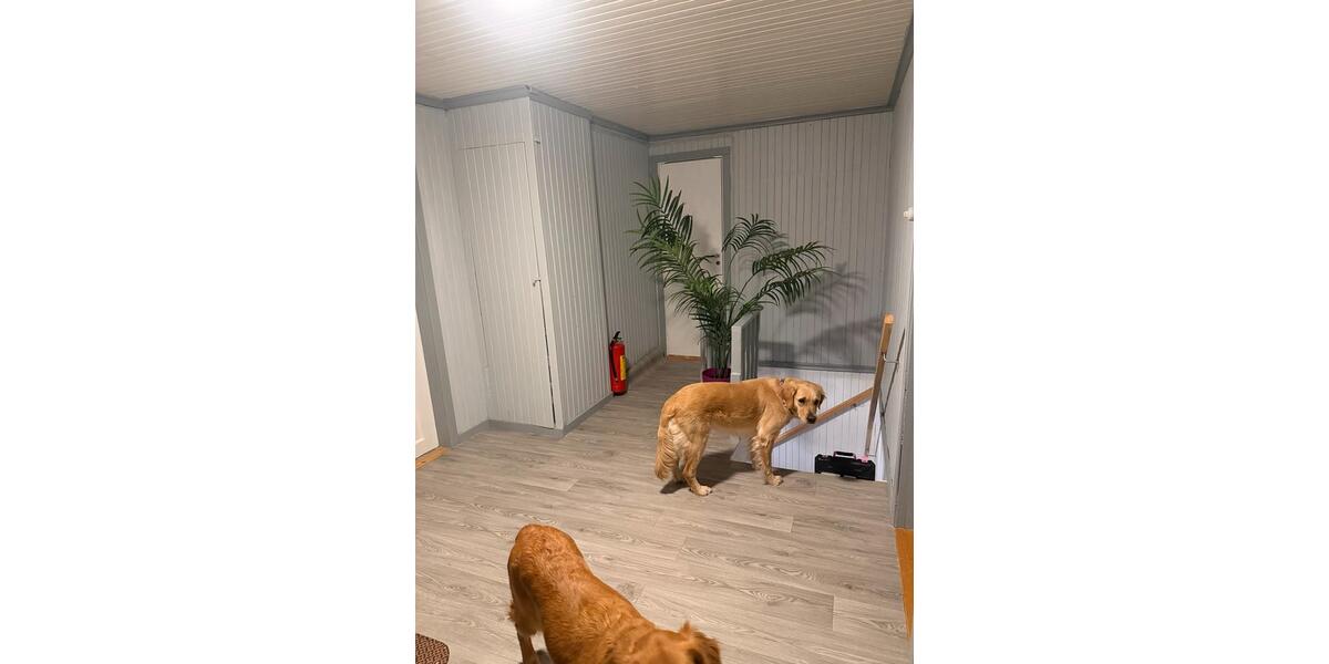 Einfamilienhaus Wendeburg - 7 Zimmer, 298 m&sup2;, 165.000&euro; | Angebot:26416087