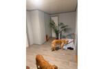 Einfamilienhaus Wendeburg - 7 Zimmer, 298 m&sup2;, 165.000&euro; | Angebot:26416087
