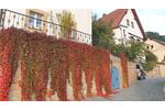 Einfamilienhaus Pirna - 6 Zimmer, 130 m&sup2;, 360.000&euro; | Angebot:26691434