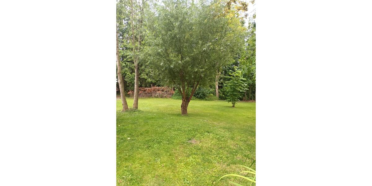 Einfamilienhaus Wittmund - 295.000&euro; | Angebot:27078649