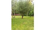 Einfamilienhaus Wittmund - 295.000&euro; | Angebot:27078649
