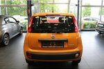 Fiat Panda 1.0 Mild Hybrid- Klima - 5-Türig - 39.589 km 8.980 &euro; Euskirchen 53881