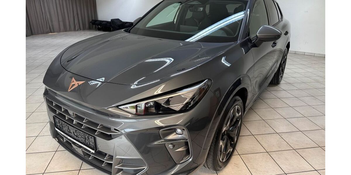 Cupra Terramar 3.000 km 38.450 &euro; Rosenberg 73494