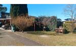 Mehrfamilienhaus, Wohnhaus Wittenberge - 600.000&euro; | Angebot:23872673