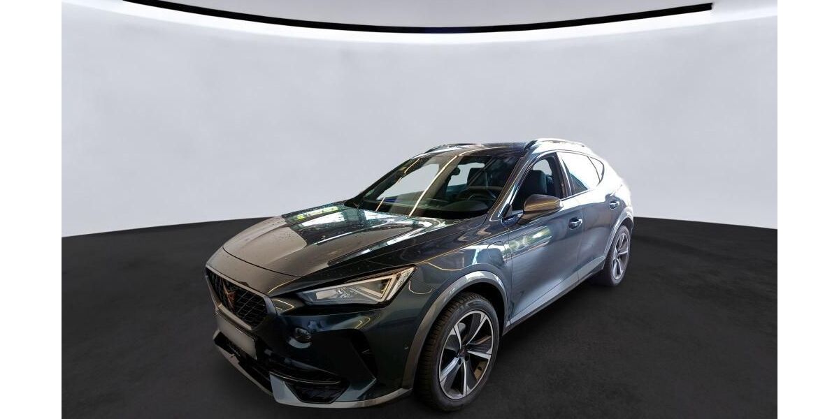 Cupra Formentor 92.239 km 23.990 &euro; Braunschweig 38122
