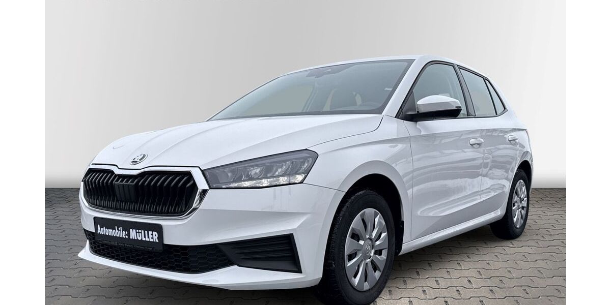 Skoda Fabia 13.352 km 14.290 &euro; Wurzen 04808