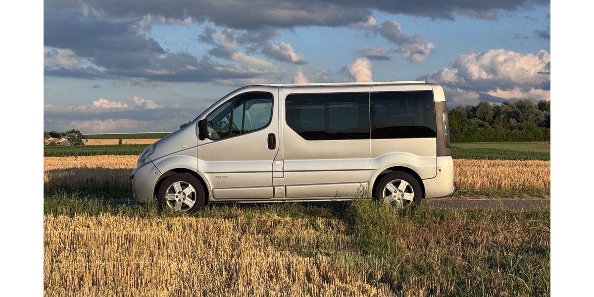 Renault Trafic 393.000 km 6.870 &euro; Bad Buchau 88422